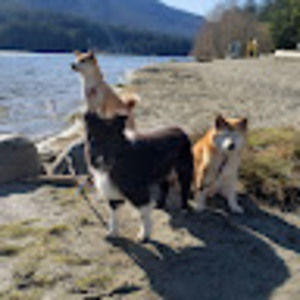 Meet your Posher, Julie